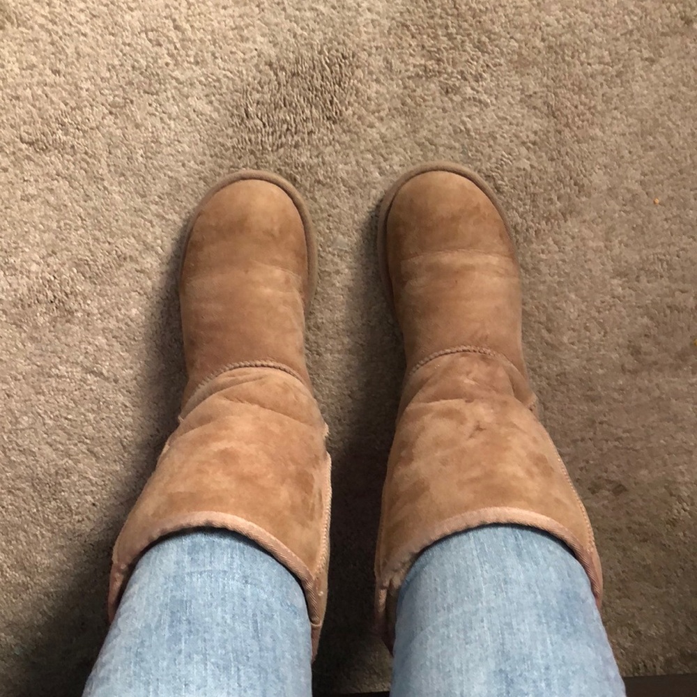 Tall tan uggs